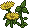 Onkruid